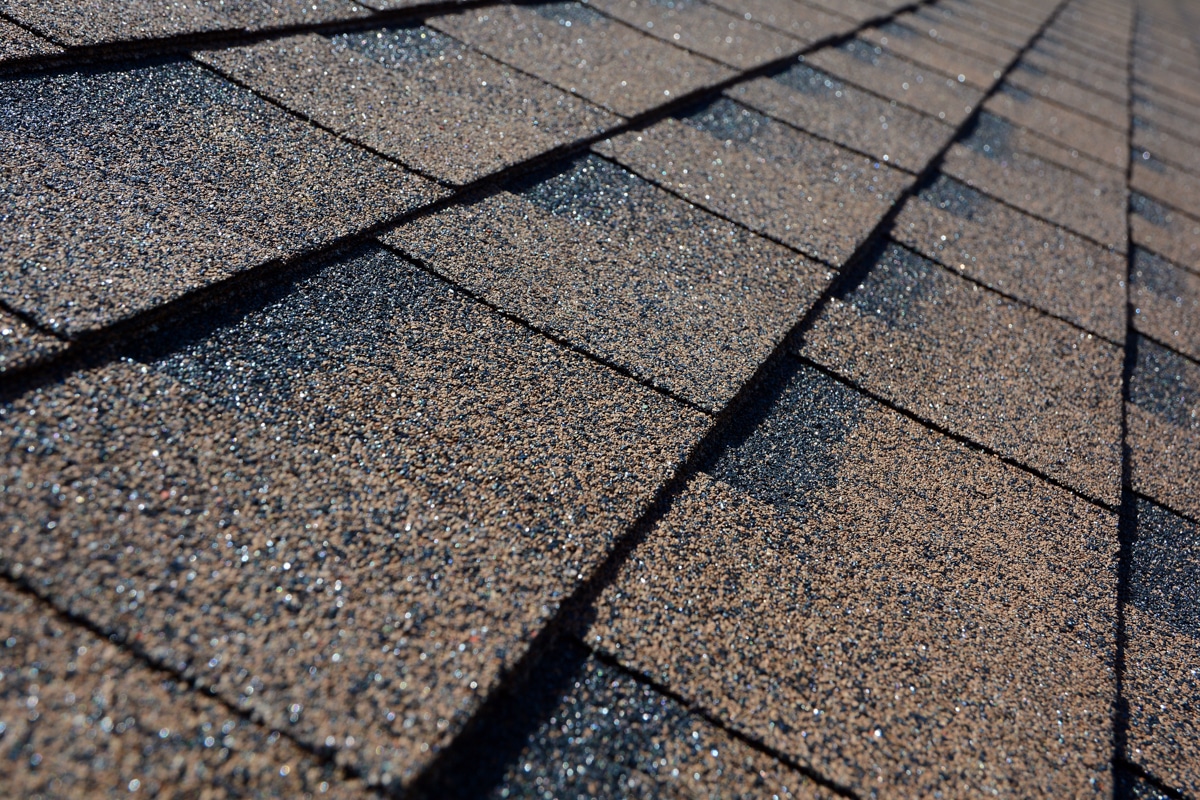 Roof Replacement in Nashville, TN 3 Close-up of newly installed architectural asphalt shingles on a completed roof replacement