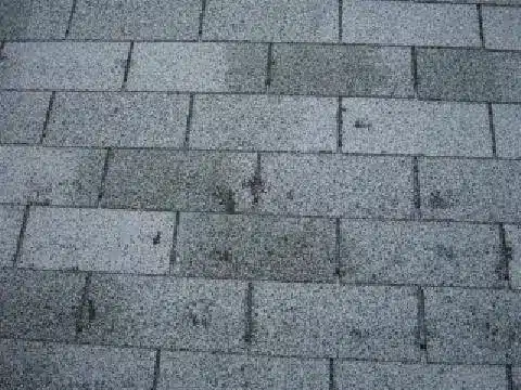 Roof Repair in Nashville, TN 2 Close-up of hail-damaged asphalt roof shingles on a Nashville home